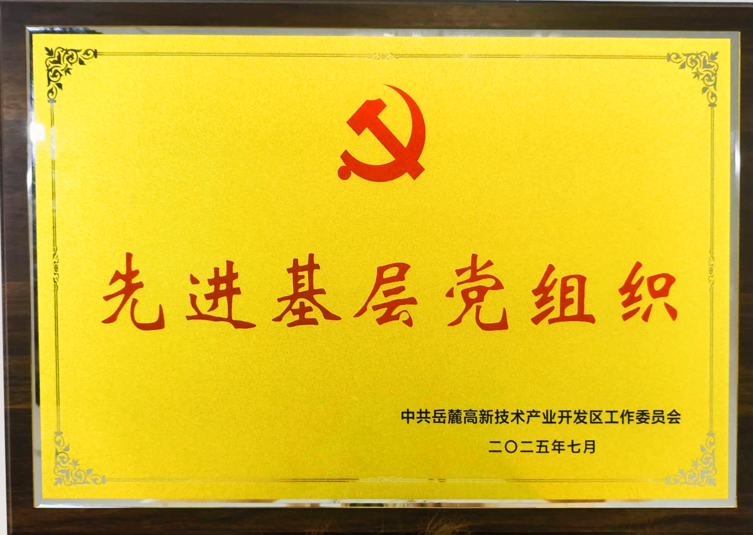 20257ǹȼŵί´ίȽ²㵳֯ƺ