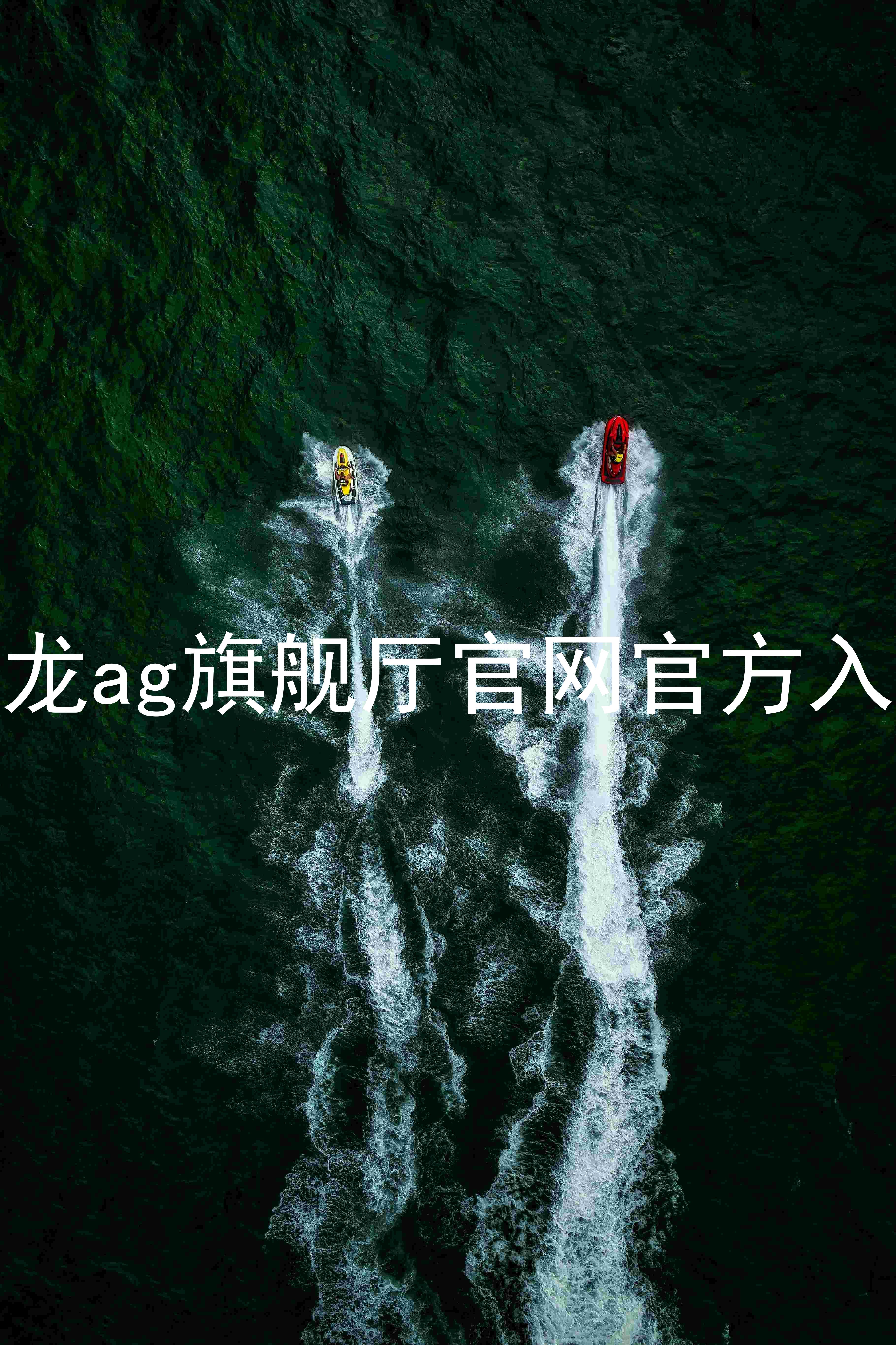 尊龙ag旗舰厅官网官方入口